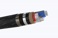 ААШнг 3х120