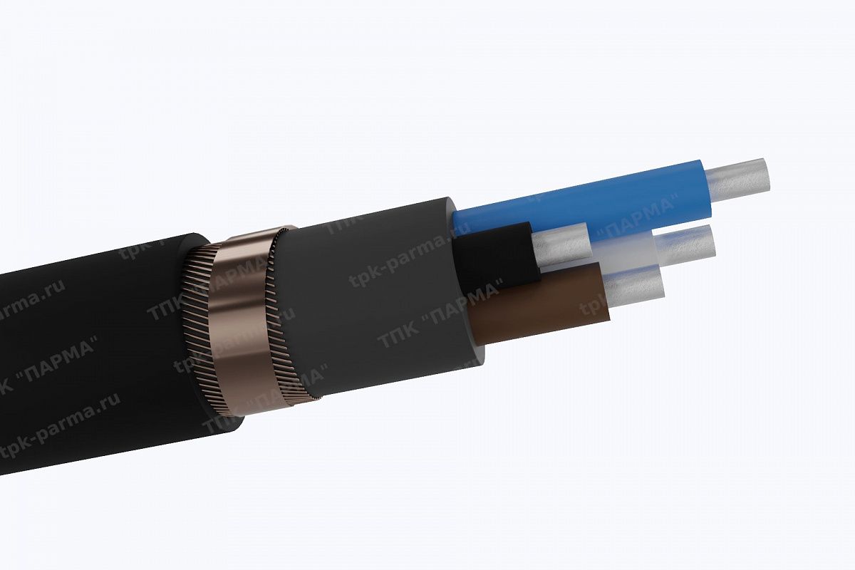 Фотография провода Кабель АВВГЭнг(A)-ХЛ 2х70 - 1кВ